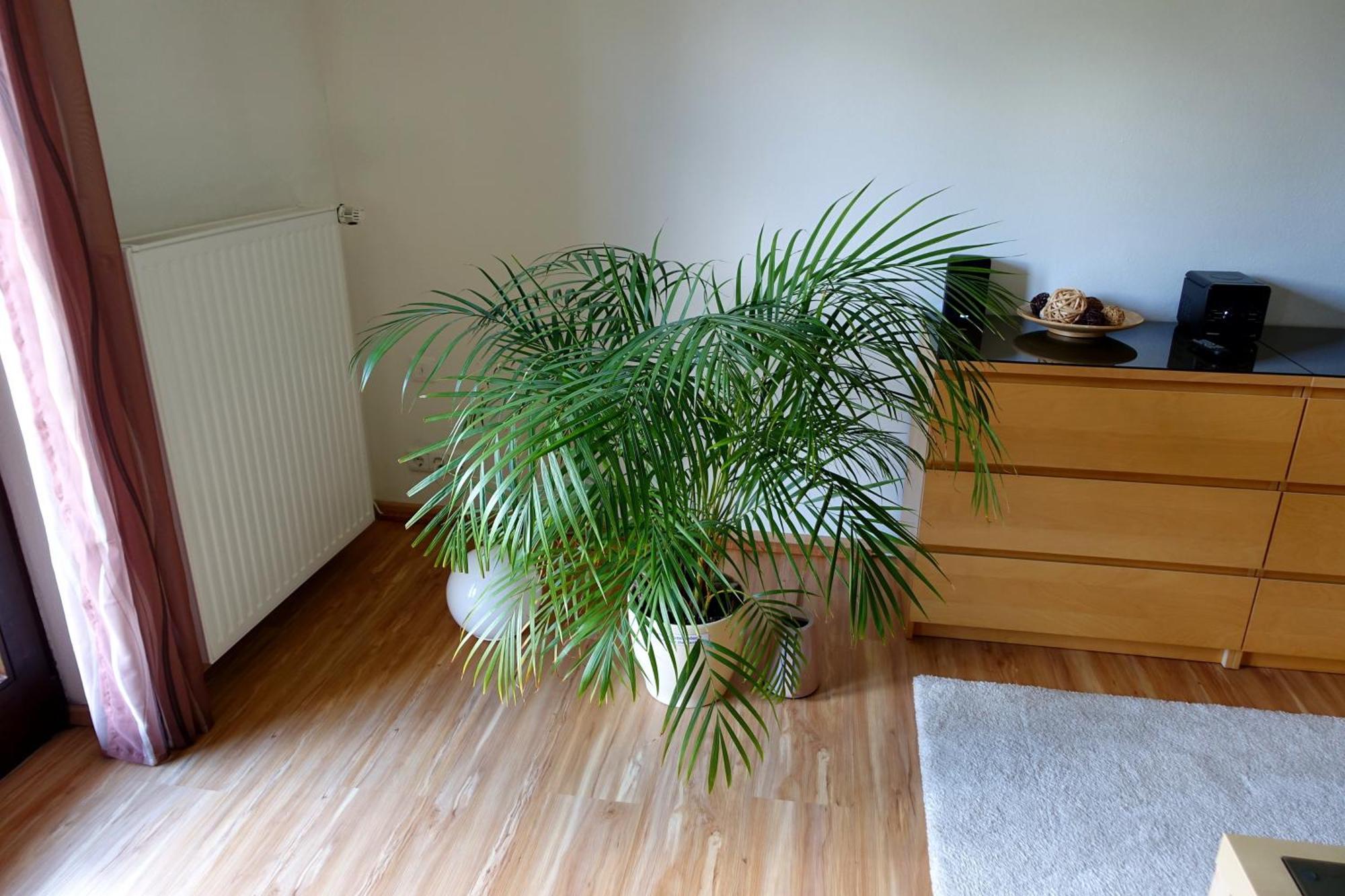 Ferienwohnung Ariane Garmisch-Partenkirchen Exteriör bild